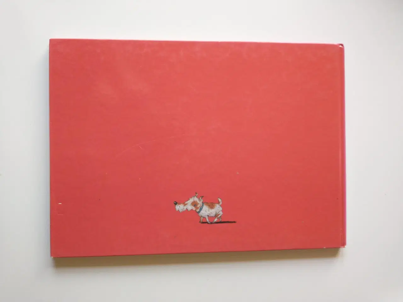 Billede 2 - Leonard. Af Wolf Erlbruch
