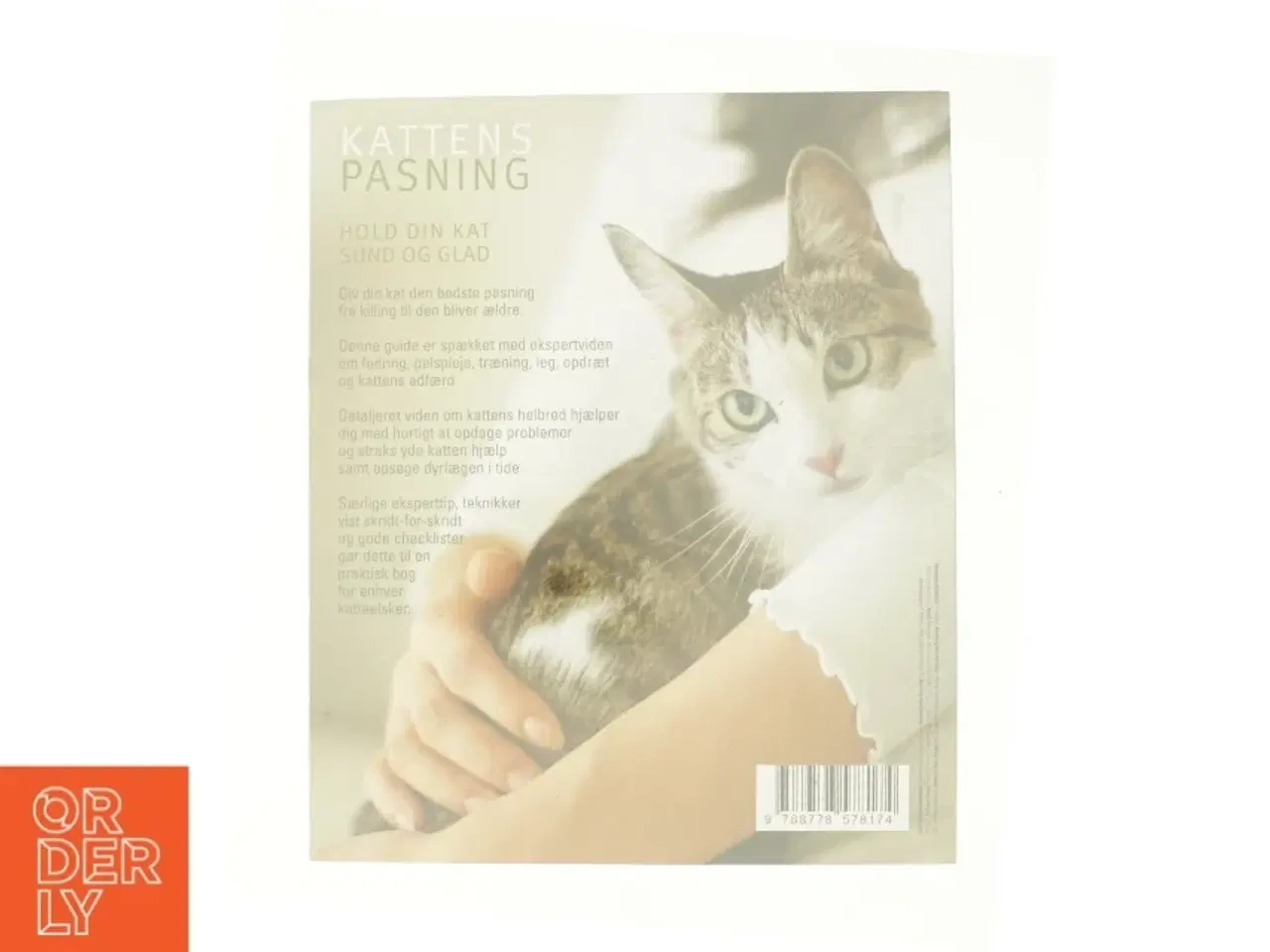 Billede 2 - Kattens pasning - Hold din kat sund og glad