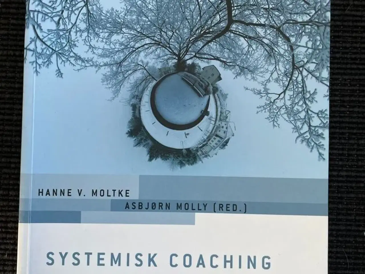 Billede 1 - Systemisk coaching - en grundbog