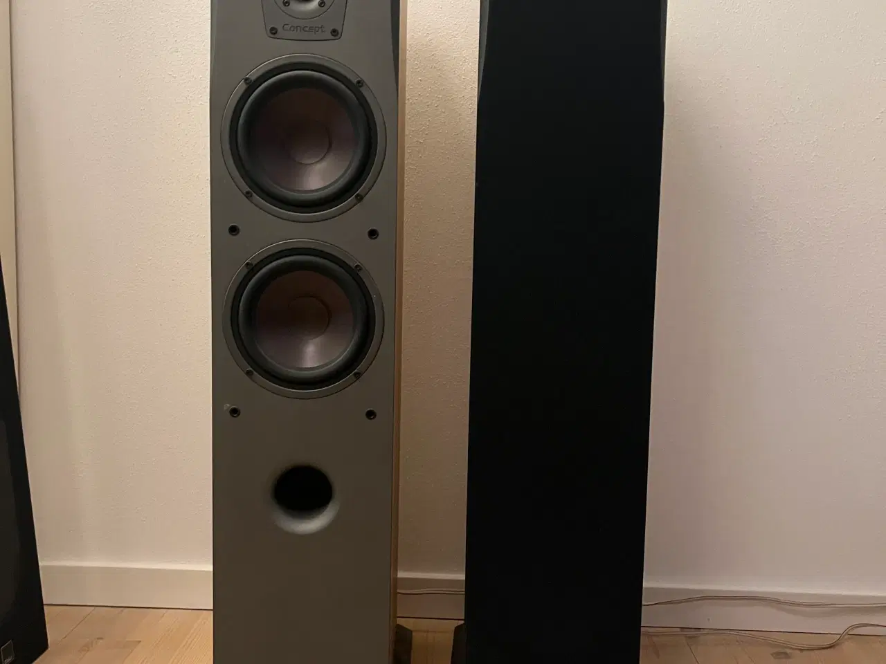 Billede 1 - Højtalere, Dali Concept 6