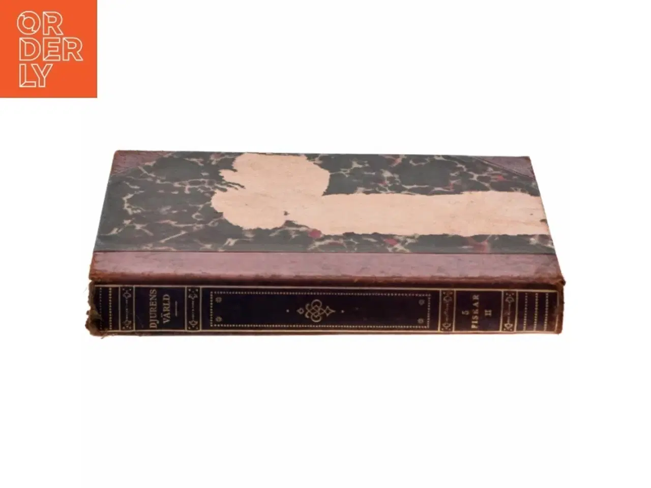 Billede 3 - 'Djurens värld'