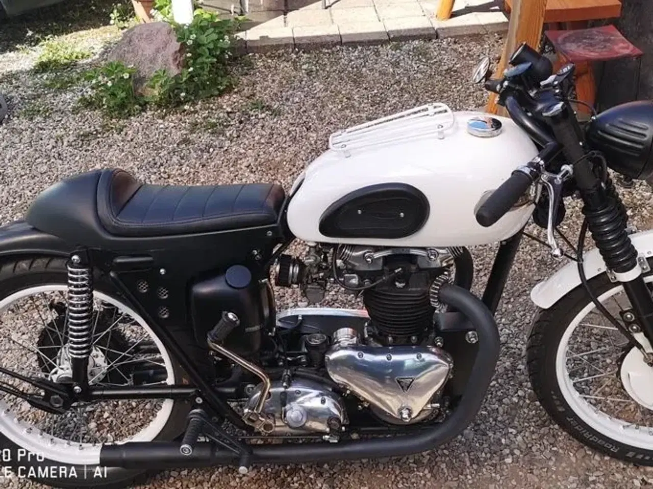 Billede 2 - Triumph