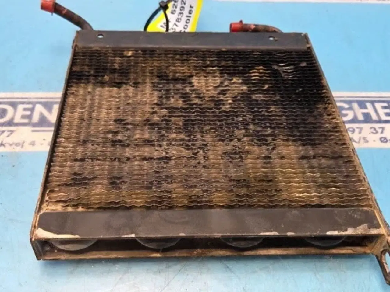 Billede 11 - Massey Ferguson 6260 Køler 3783923M1