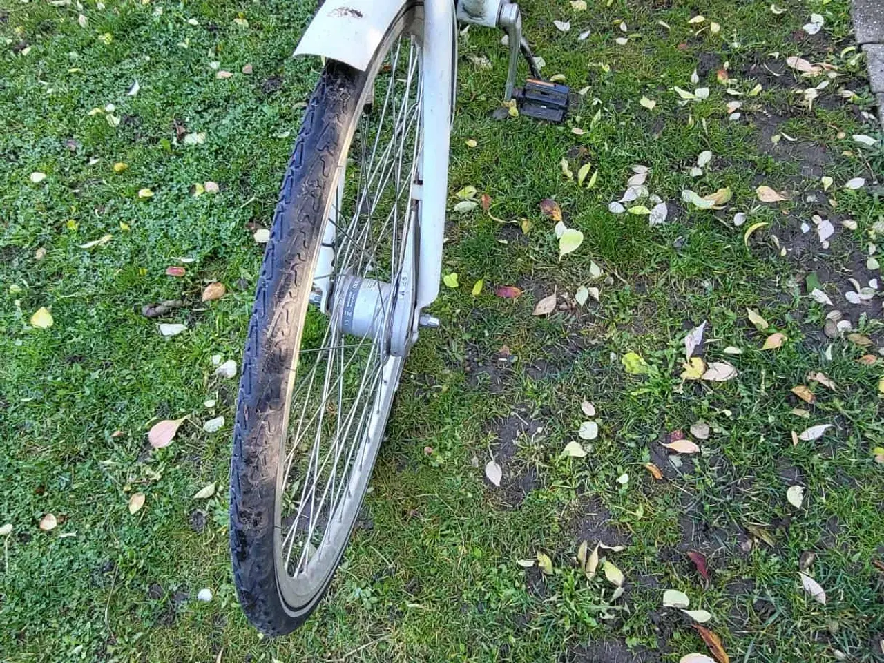 Billede 2 - MOSQUITO COMFORT  28"  53cm højt  7 gear.  Reflex 