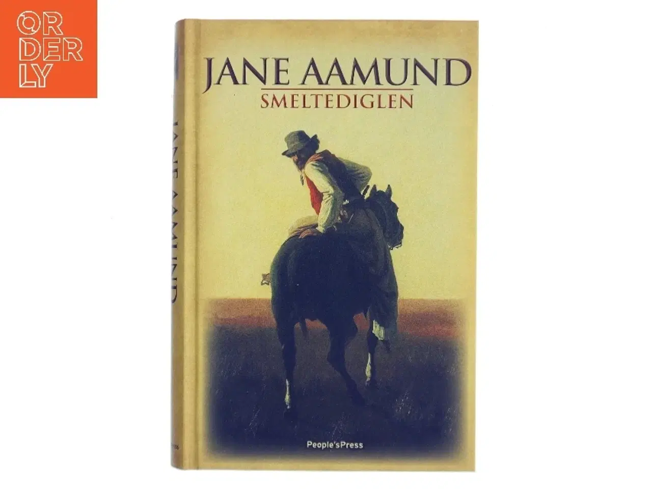 Billede 1 - Smeltediglen : andet bind i slægtskrøniken om de dansk-argentinske indvandrere : roman af Jane Aamund (Bog)