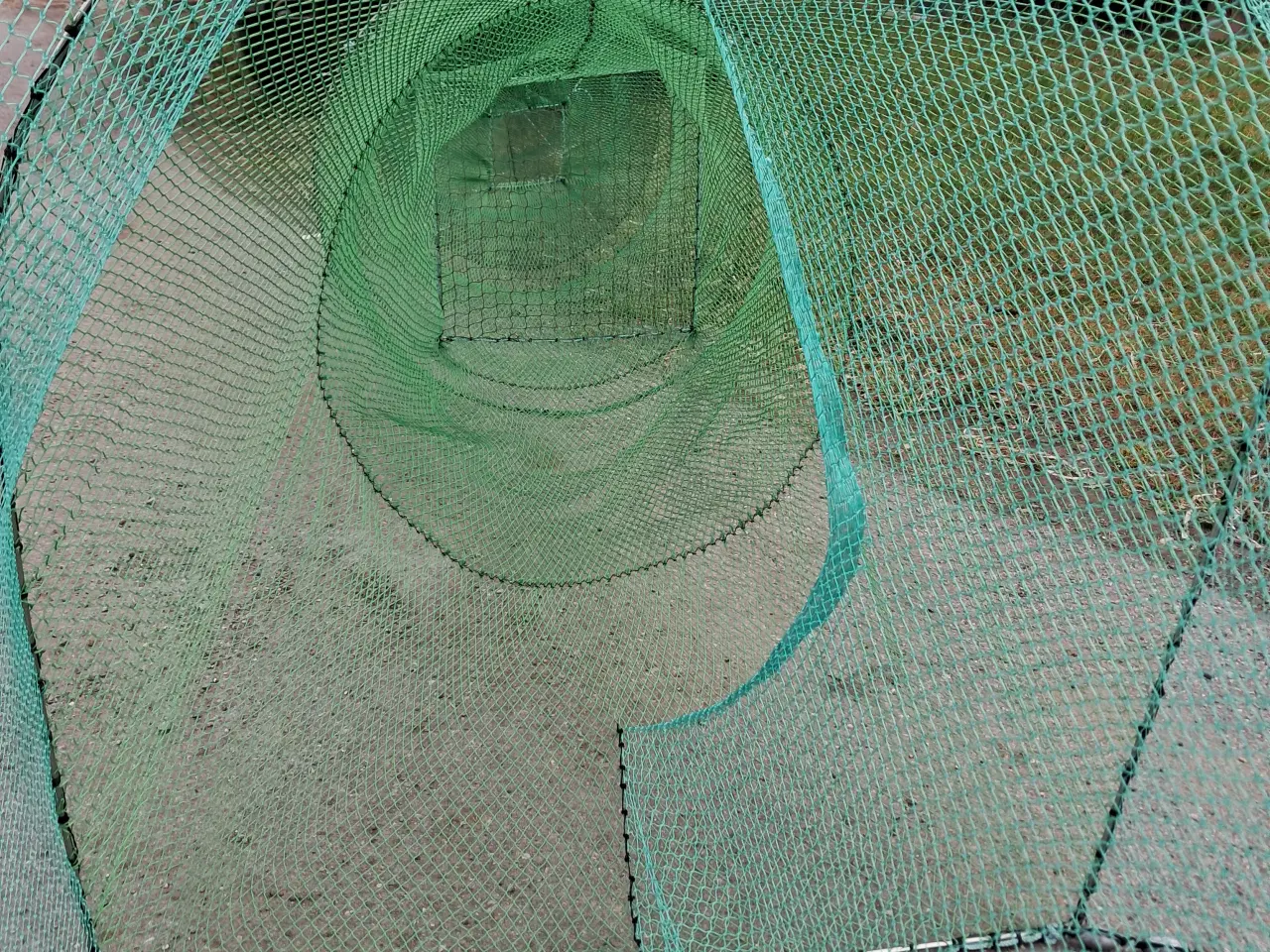 Billede 2 - Rejeruser 