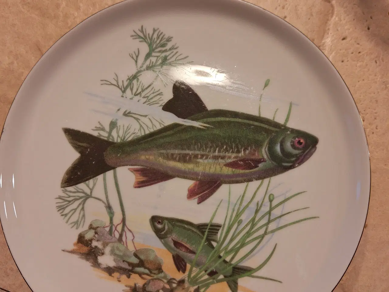Billede 1 - Desert tallerkener med Fiskemotiver 