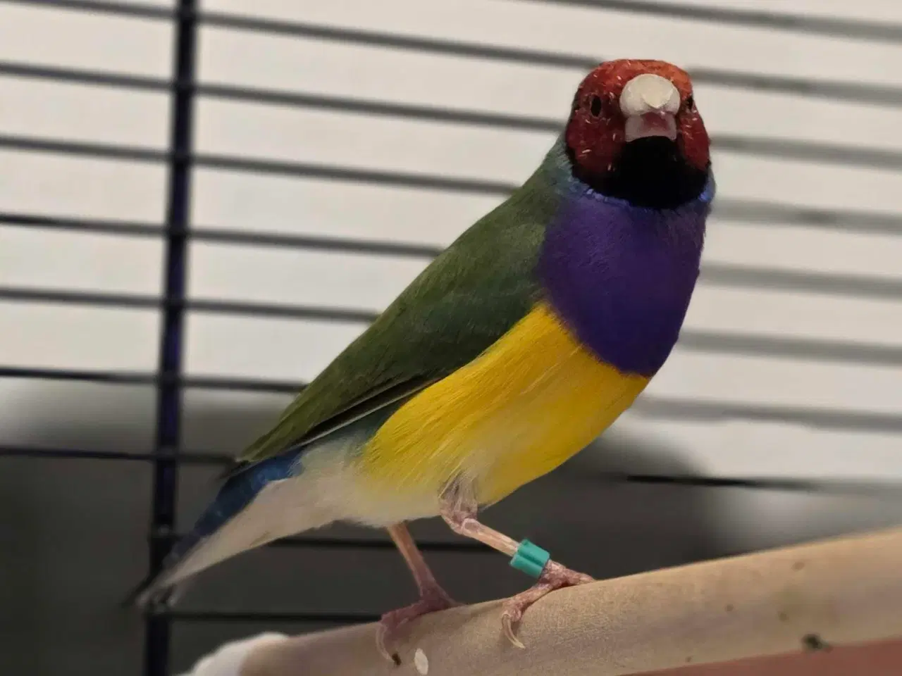 Billede 4 - Flotte fyr byttes