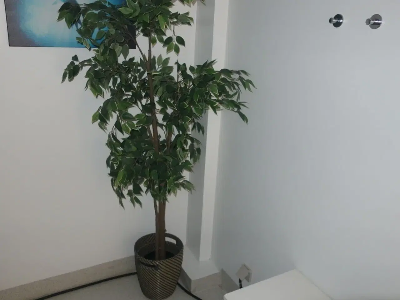 Billede 3 - Reoler / planter m.m.