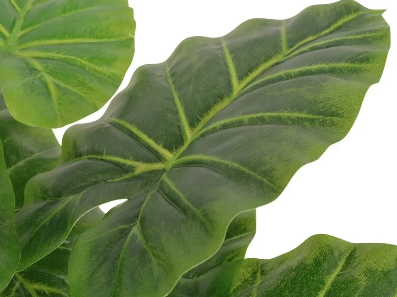 Billede 2 - Kunstig taro-plante med potte 45 cm grøn