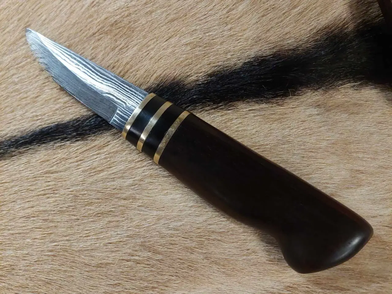 Billede 2 - Håndlavet jagt kniv af cocobolo