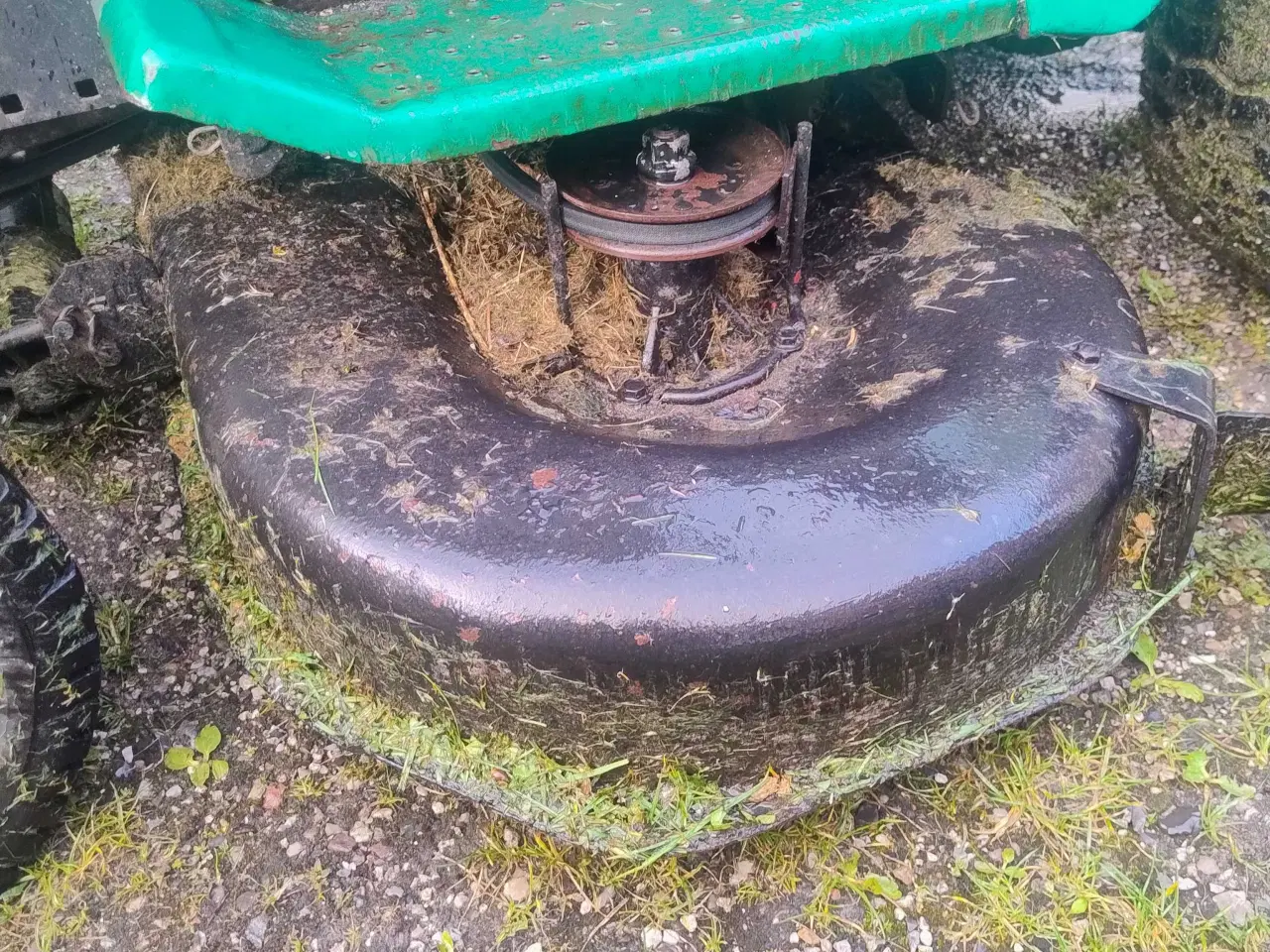 Billede 5 - Weed Eater havetraktor