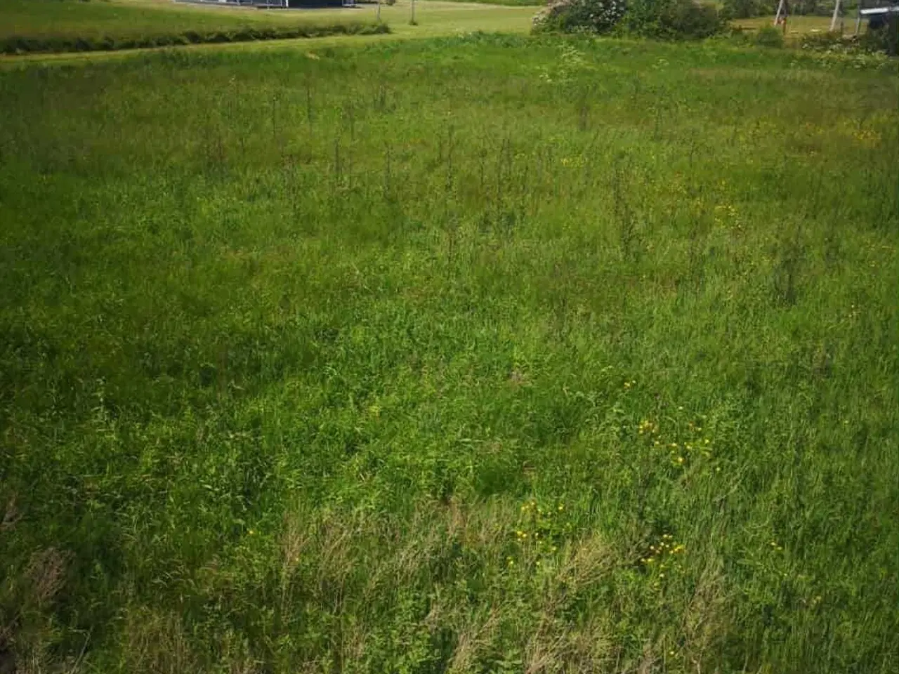 Billede 3 - Sommerhusgrund i egense