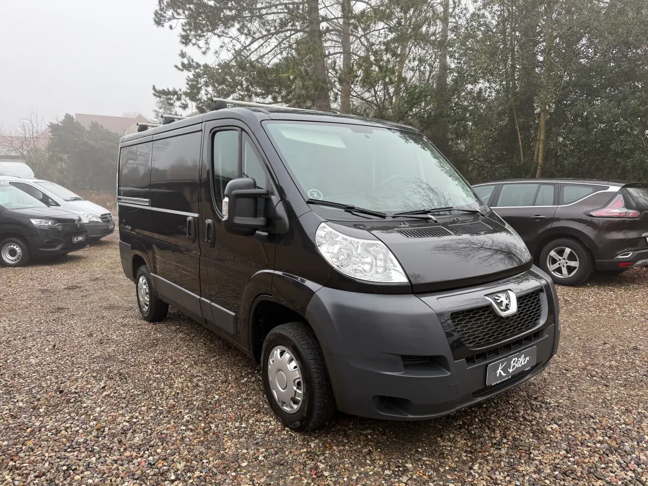 Billede 3 - Pænt boxer fra 2014 