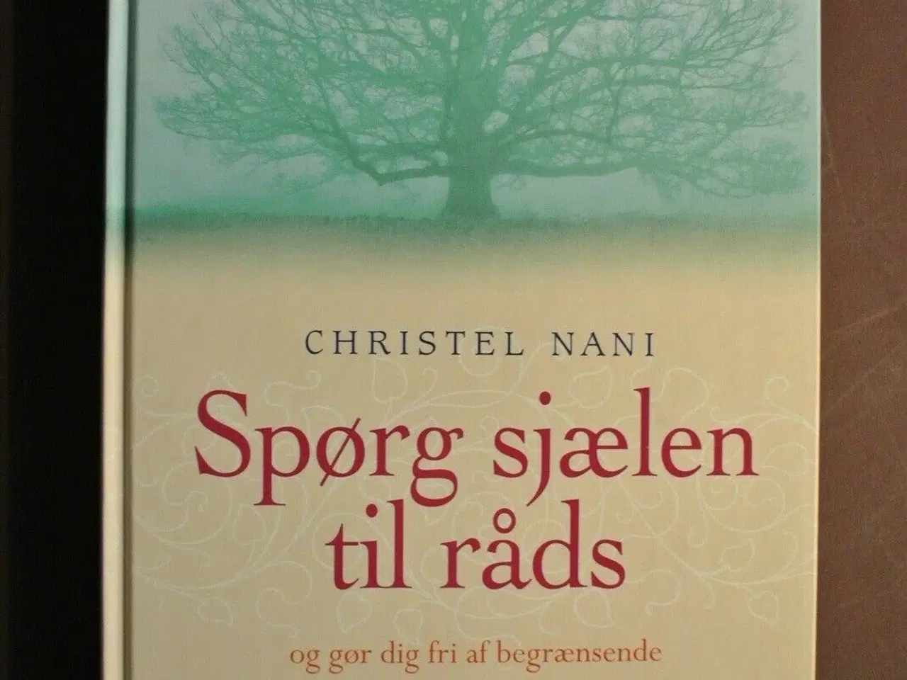 Billede 1 - spørg sjælen til råds og gør dig fri af begrænsend
