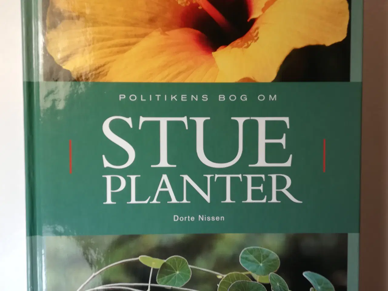 Billede 1 - Politikens bog om stueplanter