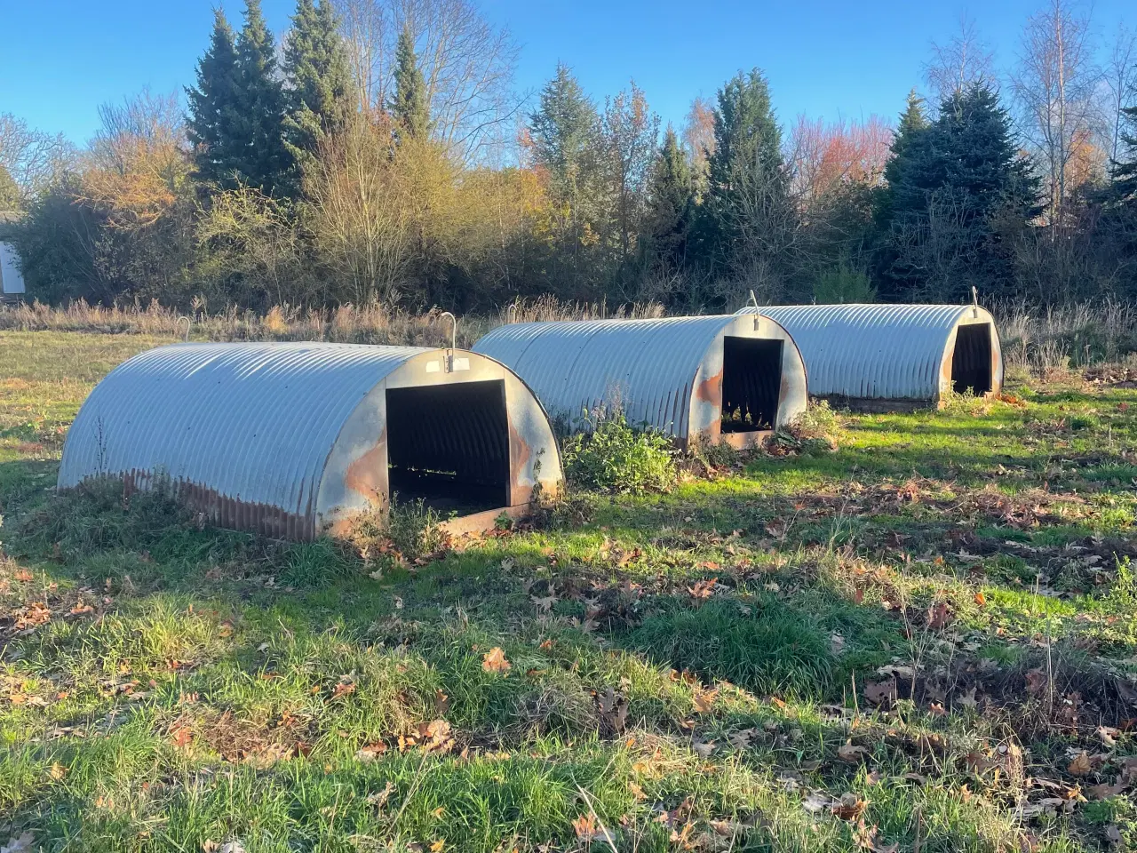 Billede 1 - Hytter til grise / får