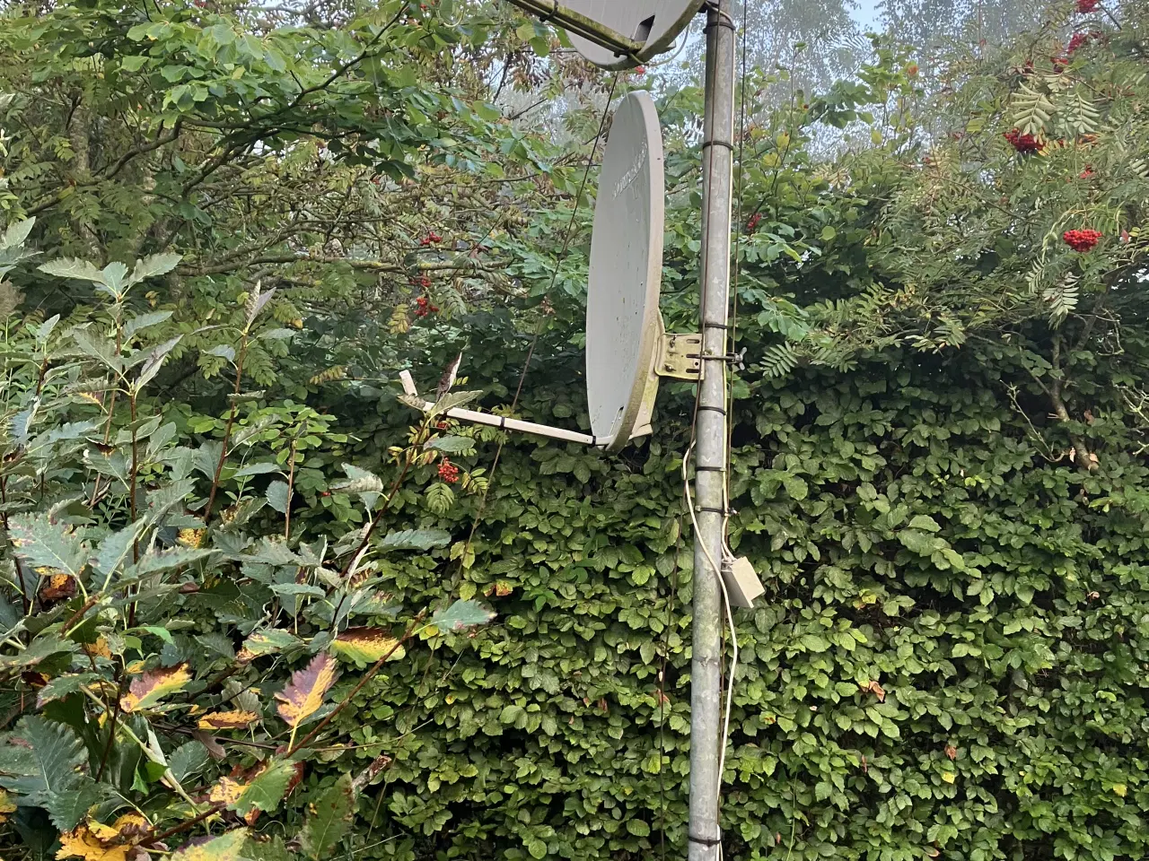 Billede 1 - Parabol med mast