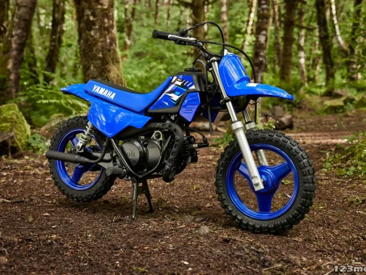 Billede 9 - Yamaha PW 50