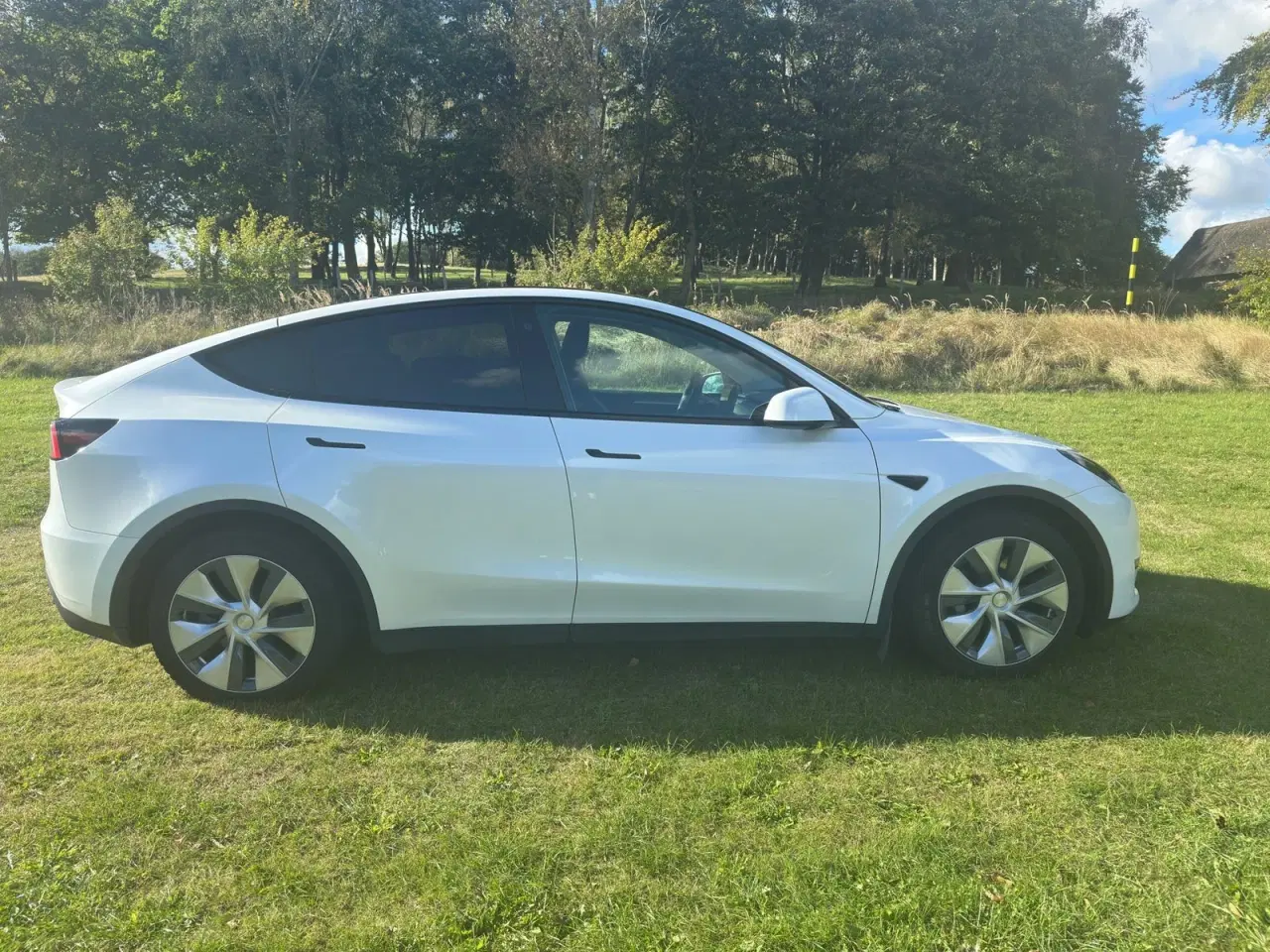 Billede 4 - Tesla Model Y  RWD