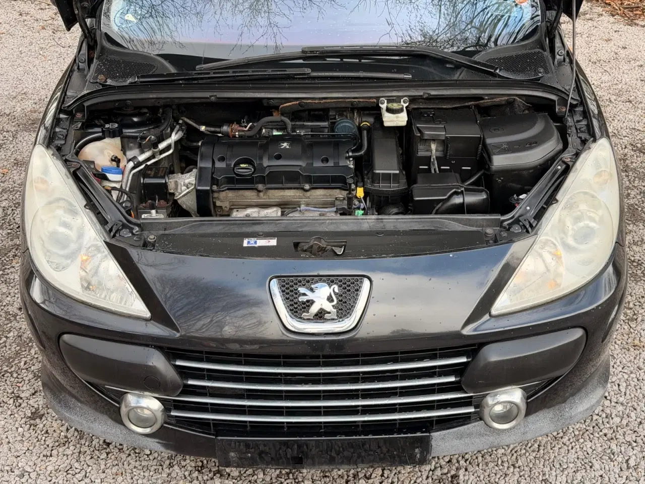 Billede 20 - Peugeot 307 1,6 Complete SW