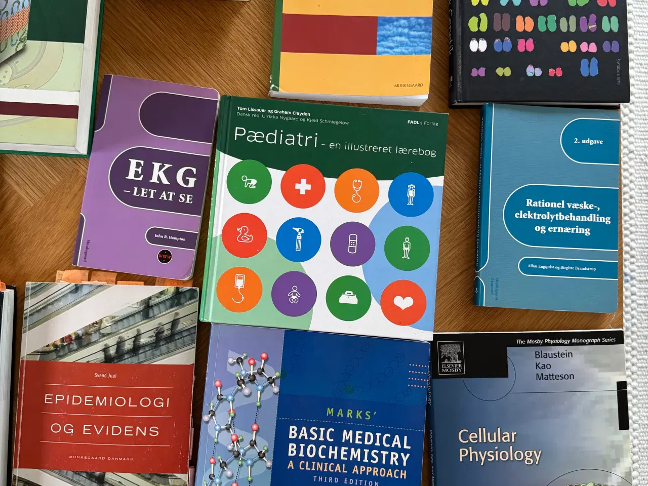 Billede 4 - Bøger til medicinstudiet