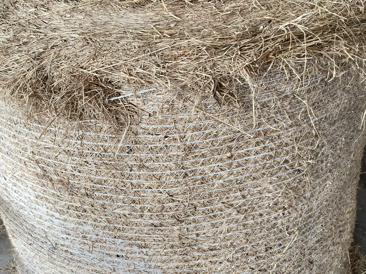 Billede 1 - Rundballer Hø