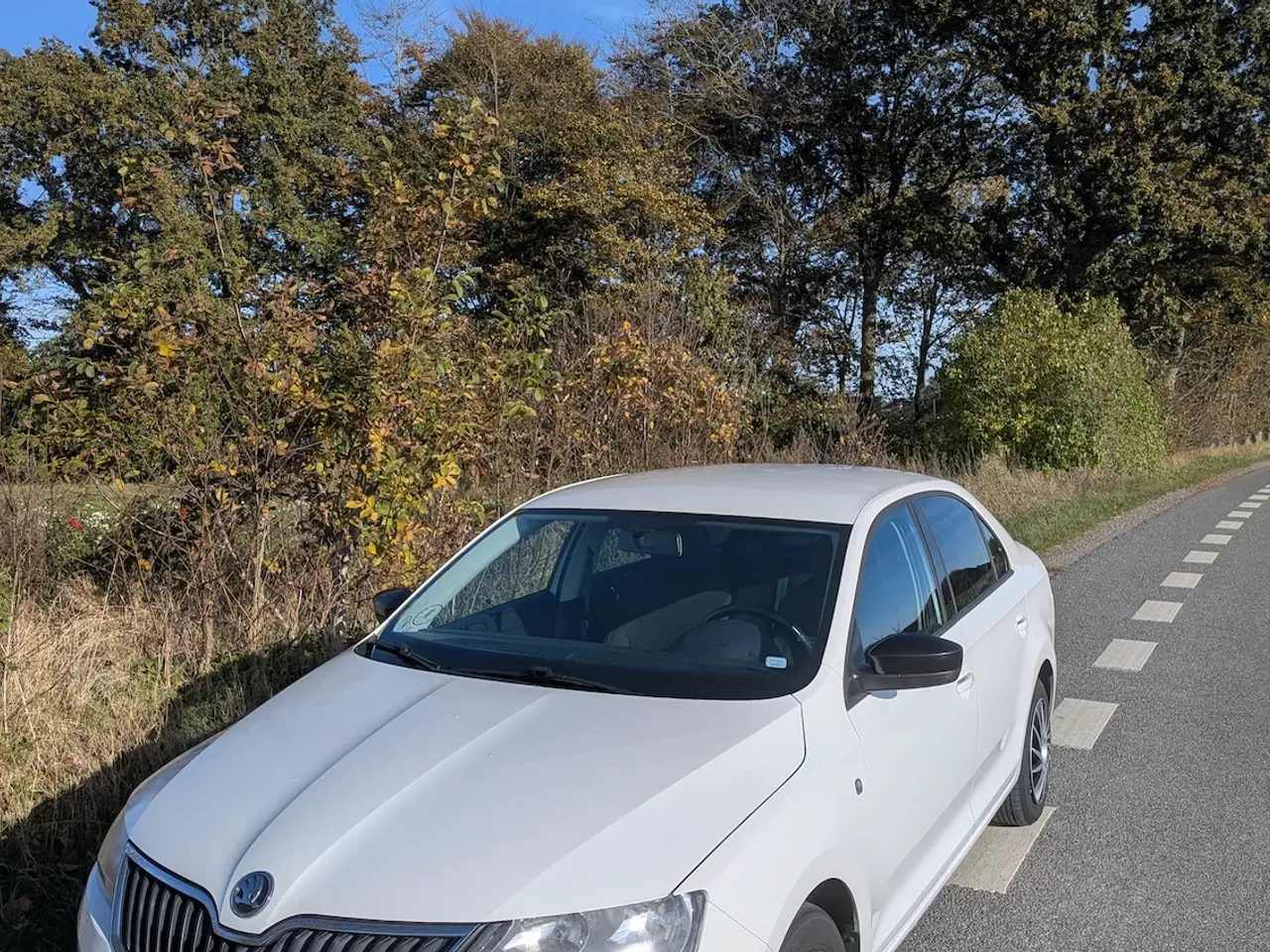 Billede 2 - NYSYNET! Skoda Rapid