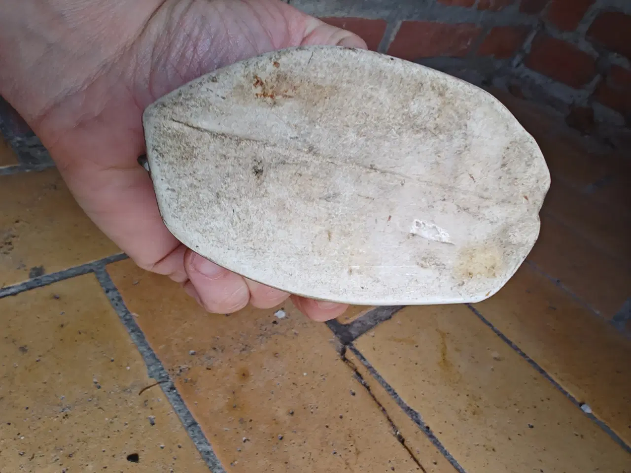 Billede 3 - Gammel Høne Sparegris