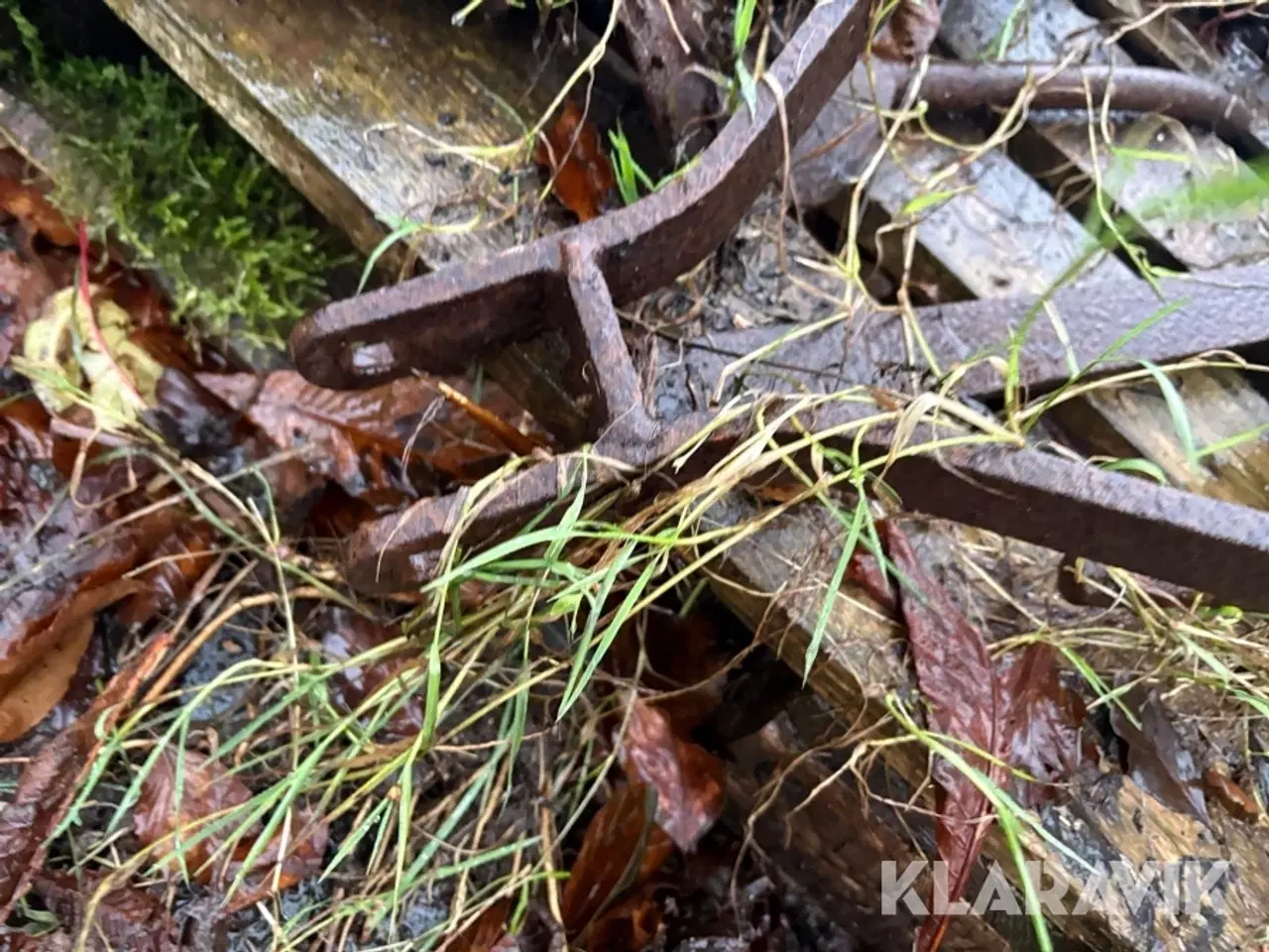 Billede 9 - Tallerkenharver