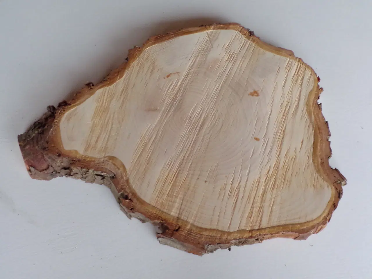 Billede 2 - NY Thuja Træskive med bark 36 cm lang