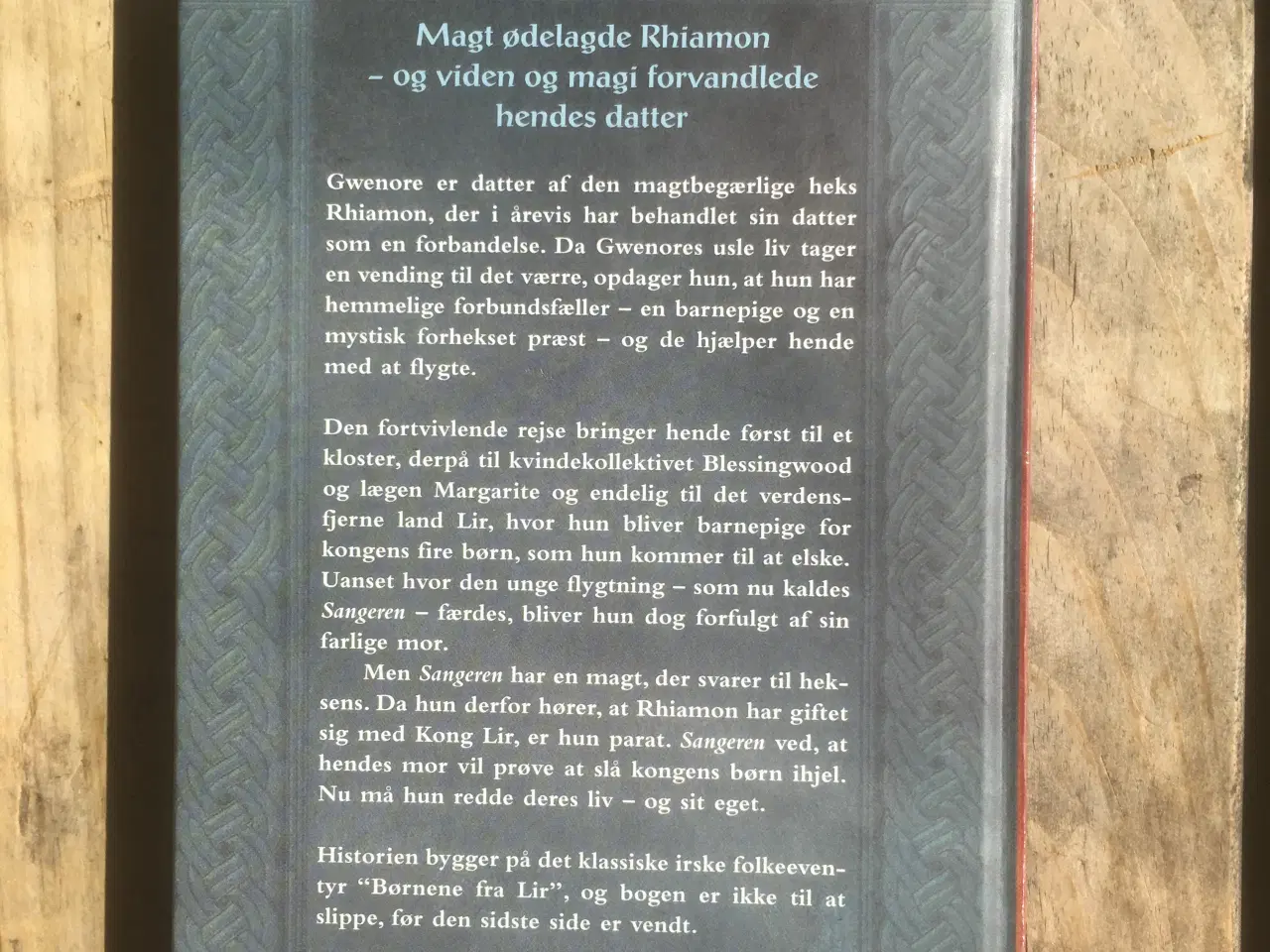 Billede 2 - Sangeren,  Jean Thesman, genre: fantasy