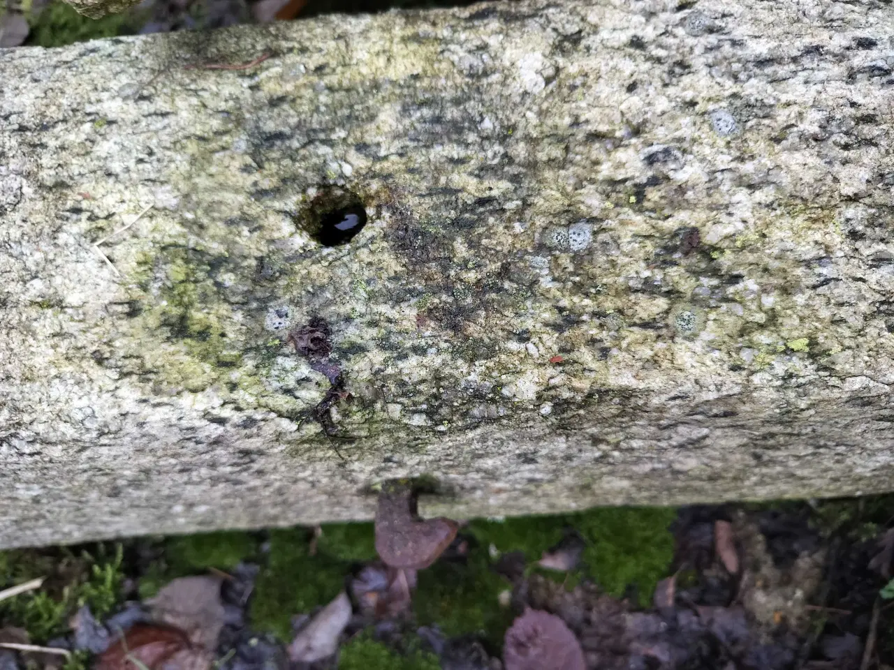 Billede 4 - Granit søjler 2 stk med kroge i