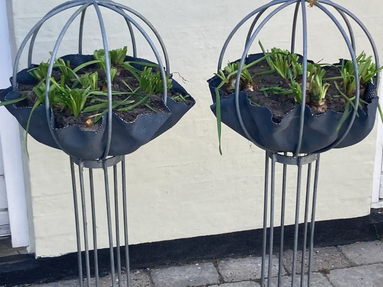Billede 1 - Plante opsats 
