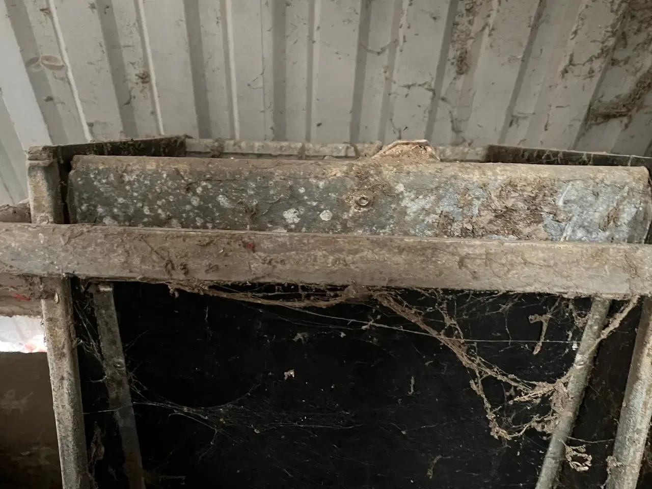 Billede 6 - - - - til kvæg