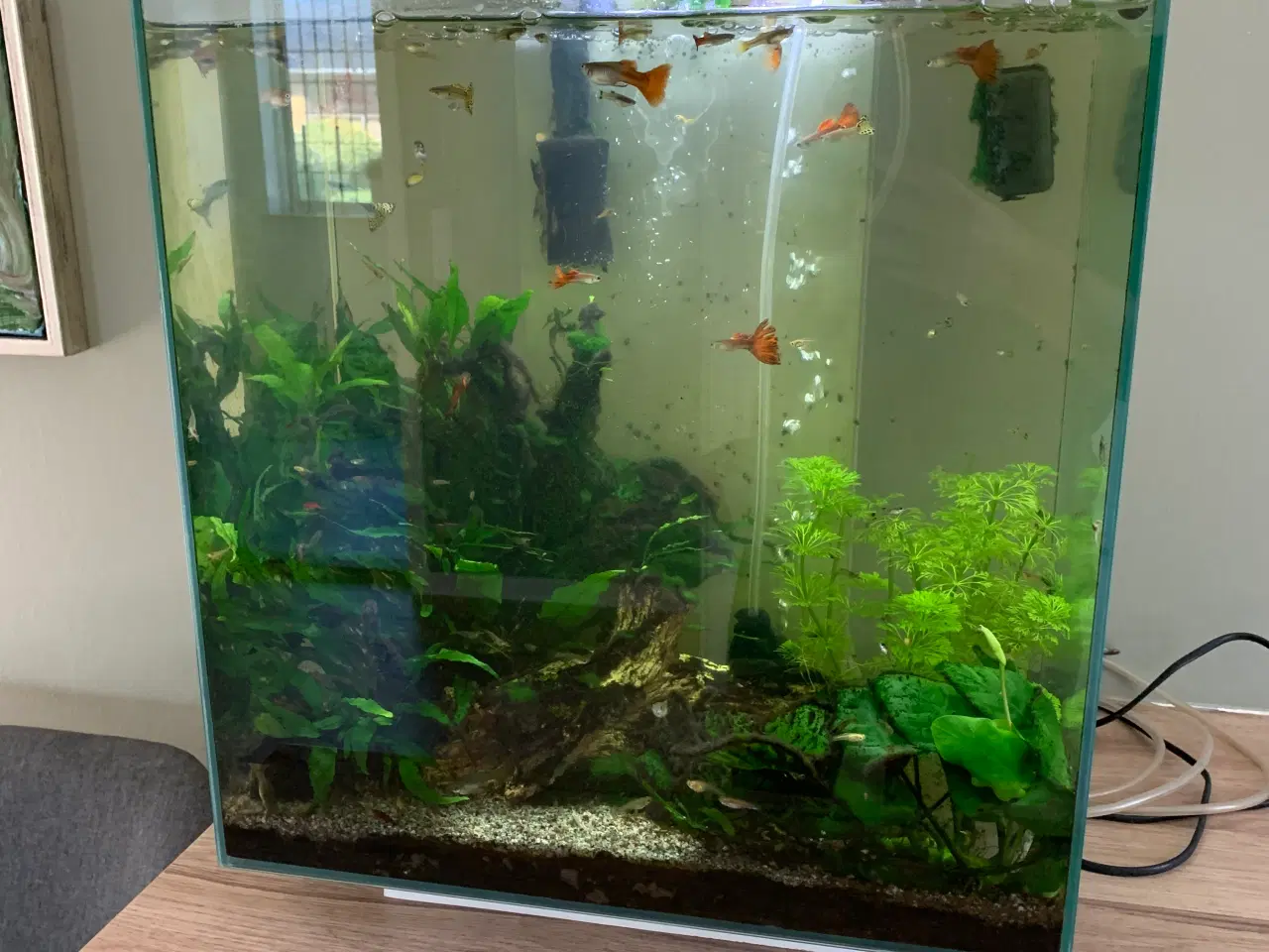 Billede 1 - Akvarie 40l. 