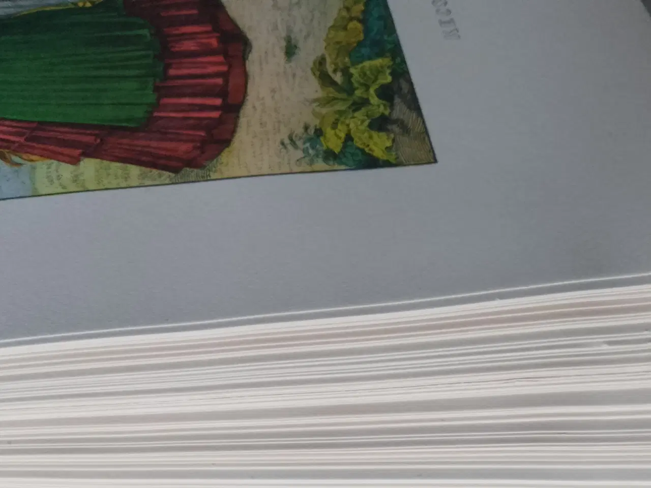 Billede 15 - Folkedragter fra Ungarn 