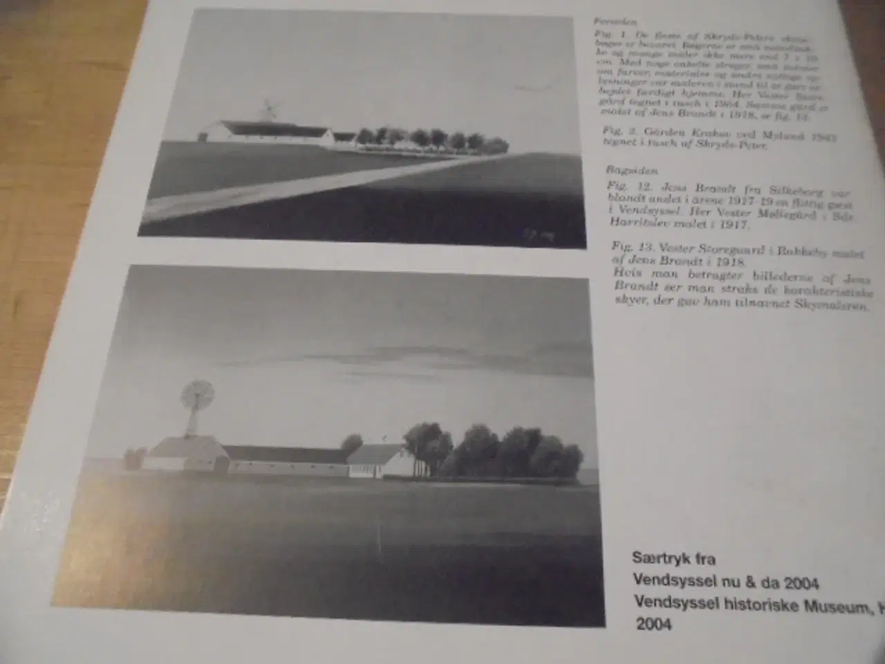 Billede 2 - Gårdmalerier – særtryk fra 2004