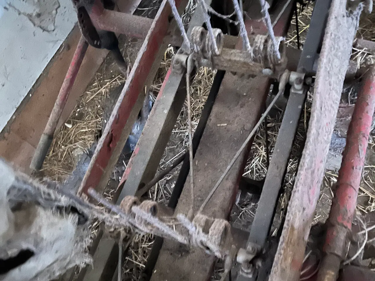 Billede 2 - Høvender PZ