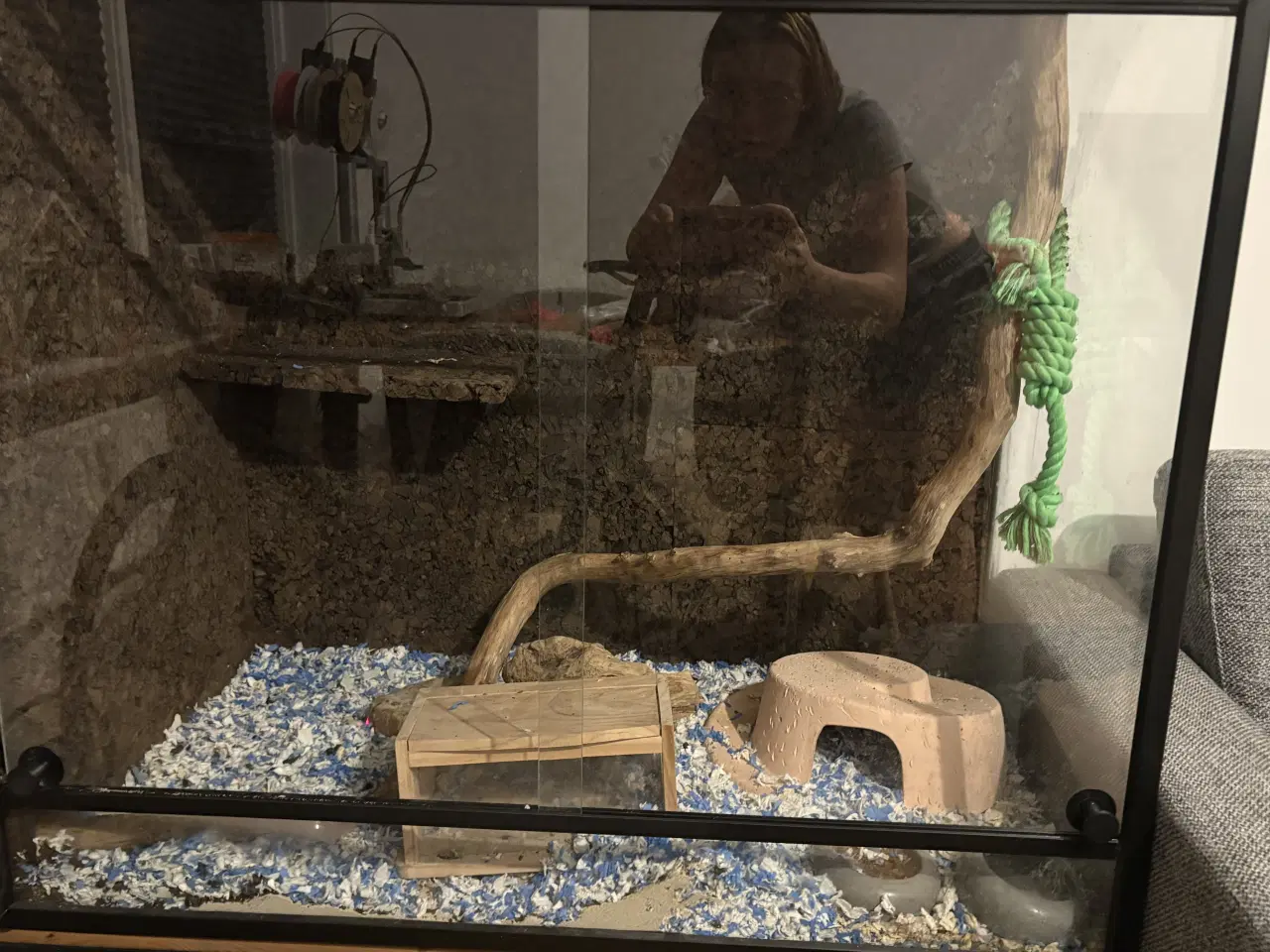 Billede 3 - Børstesvin med bur