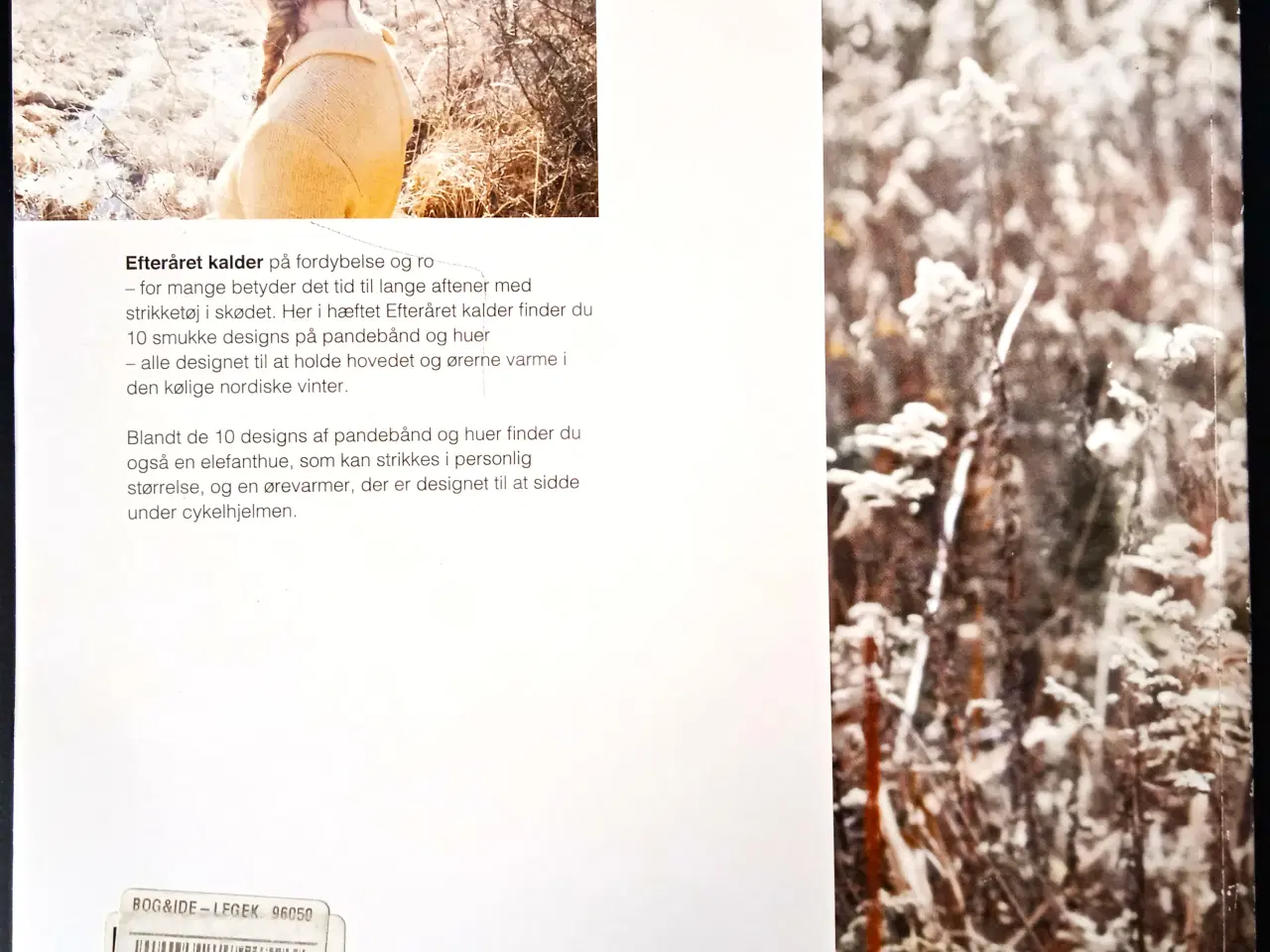 Billede 2 - Efteråret kalder