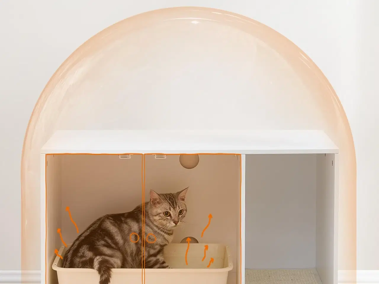 Billede 5 - Kattebakke skab – FEANDREA skjult kattemøbel med kradsemåtte, høje ben, sidebord, 80 × 50 × 55 cm, hvid/guld