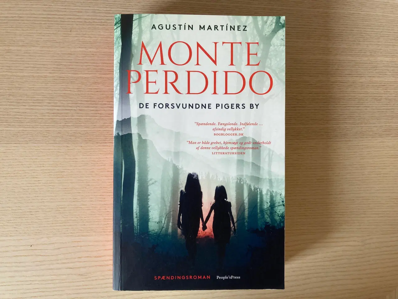 Billede 1 - Monte Perdido - Agustín Martínez