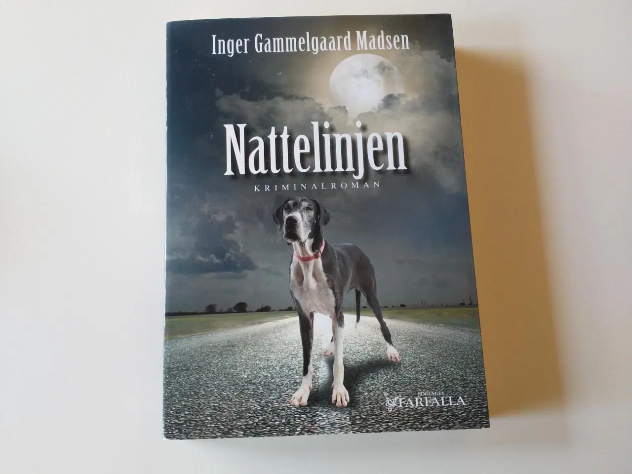 Billede 1 - Nattelinjen. Af Inger Gammelgaard Madsen