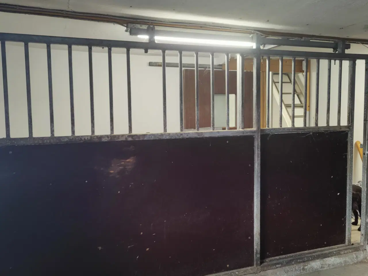 Billede 2 - 2x heste bokse sælges 