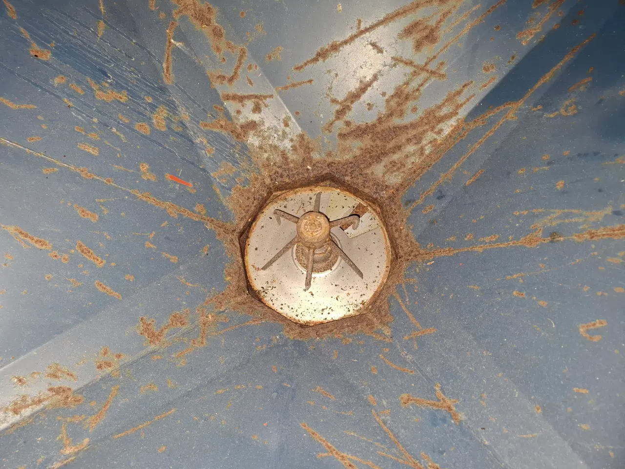 Billede 7 - Bøgballe 1000Kg