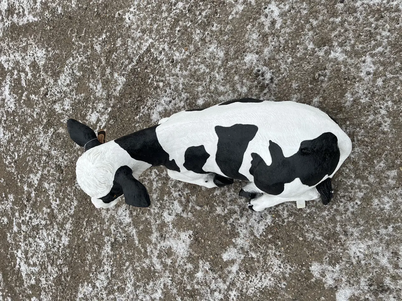 Billede 5 - Kalv i plast polyester 