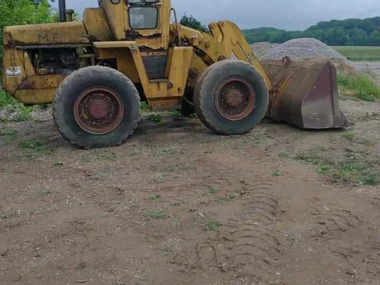 Billede 8 - Massey Ferguson Gummigede søges/købes