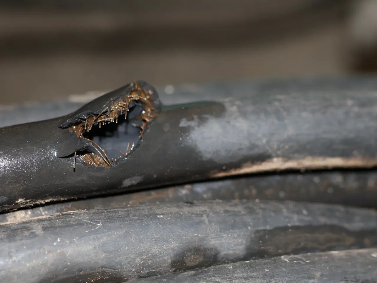 Billede 5 - KEW 1700 højtryksrenser