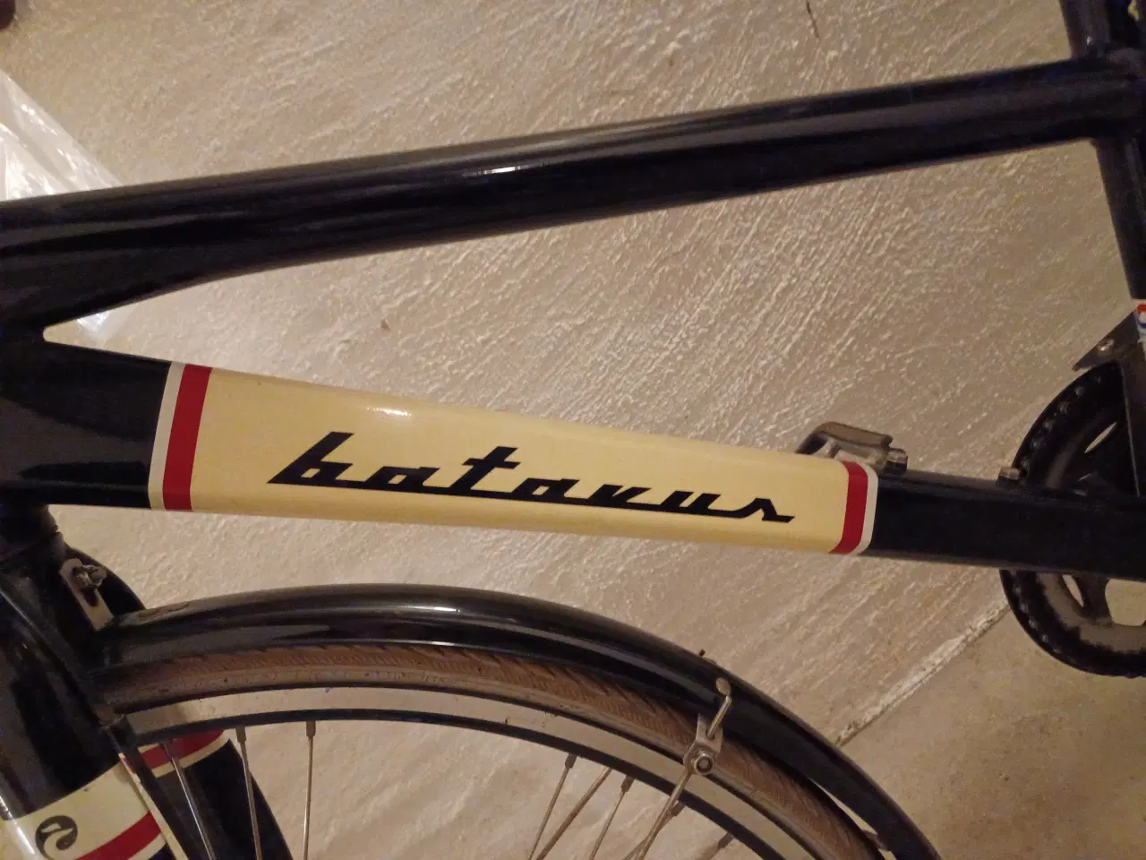 Billede 9 - Batavus dame/pige cykel 